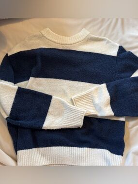 American Eagle Outfitters Navy and White Striped Crewneck Sweater